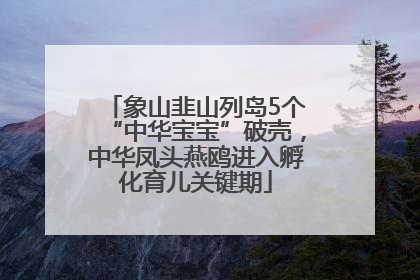 象山韭山列岛5个“中华宝宝”破壳，中华凤头燕鸥进入孵化育儿关键期