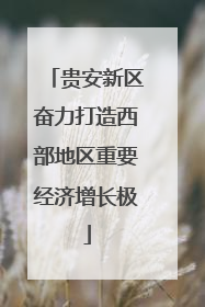贵安新区奋力打造西部地区重要经济增长极