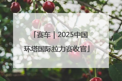 赛车｜2025中国环塔国际拉力赛收官