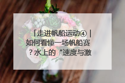 走进帆船运动④｜如何看懂一场帆船赛？水上的“速度与激情”同样精彩