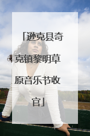 逊克县奇克镇黎明草原音乐节收官