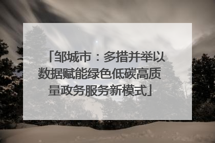 邹城市：多措并举以数据赋能绿色低碳高质量政务服务新模式
