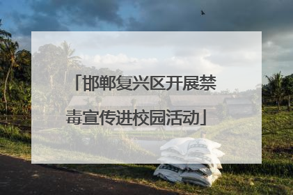 邯郸复兴区开展禁毒宣传进校园活动