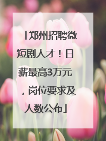 郑州招聘微短剧人才！日薪最高3万元，岗位要求及人数公布