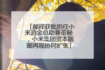 郝祥获批担任小米消金总助兼董秘，小米集团资本版图再现协同扩张