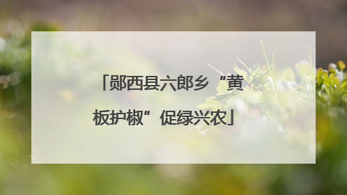 郧西县六郎乡“黄板护椒”促绿兴农