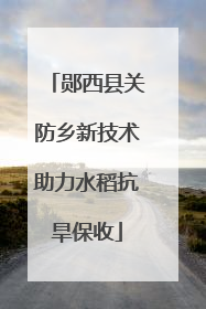 郧西县关防乡新技术助力水稻抗旱保收