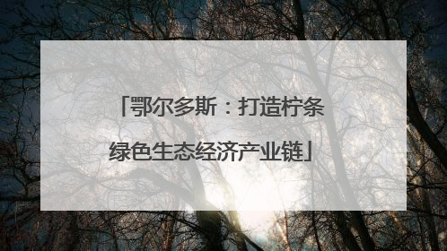 鄂尔多斯：打造柠条绿色生态经济产业链