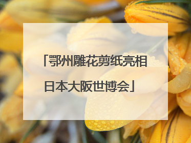 鄂州雕花剪纸亮相日本大阪世博会