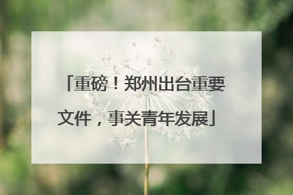 重磅！郑州出台重要文件，事关青年发展