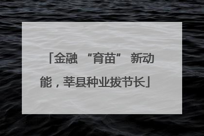 金融 “育苗” 新动能，莘县种业拔节长