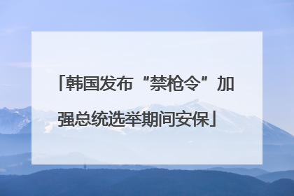 韩国发布“禁枪令”加强总统选举期间安保