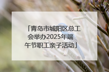 青岛市城阳区总工会举办2025年端午节职工亲子活动