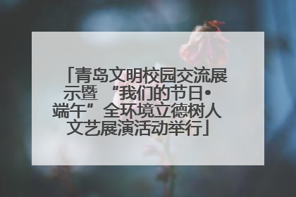 青岛文明校园交流展示暨 “我们的节日•端午”全环境立德树人文艺展演活动举行