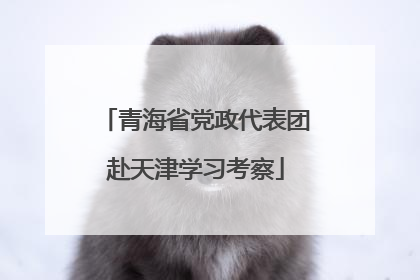 青海省党政代表团赴天津学习考察