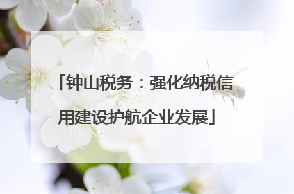 钟山税务：强化纳税信用建设护航企业发展