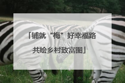 铺就“梅”好幸福路 共绘乡村致富图