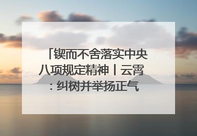 锲而不舍落实中央八项规定精神丨云霄：纠树并举扬正气 作风建设谱新章