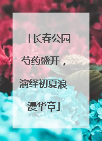 长春公园芍药盛开，演绎初夏浪漫华章