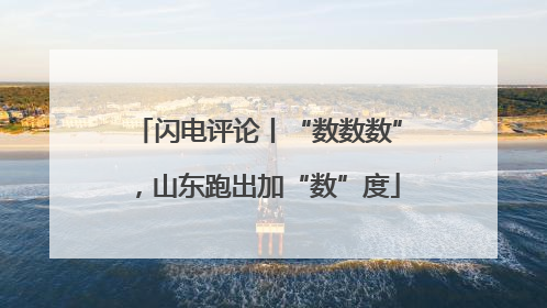 闪电评论丨“数数数”，山东跑出加“数”度
