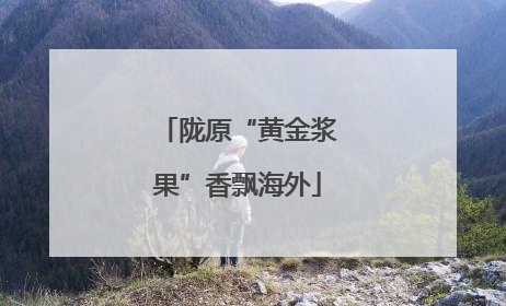 陇原“黄金浆果”香飘海外