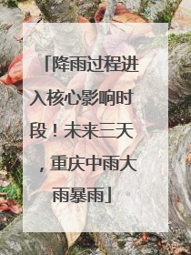 降雨过程进入核心影响时段！未来三天，重庆中雨大雨暴雨