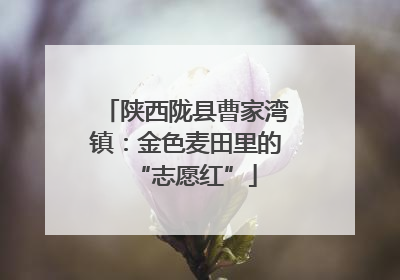 陕西陇县曹家湾镇：金色麦田里的“志愿红”