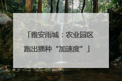 雅安雨城：农业园区跑出播种“加速度”