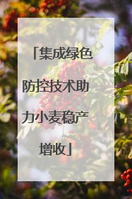 集成绿色防控技术助力小麦稳产增收