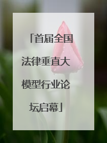 首届全国法律垂直大模型行业论坛启幕