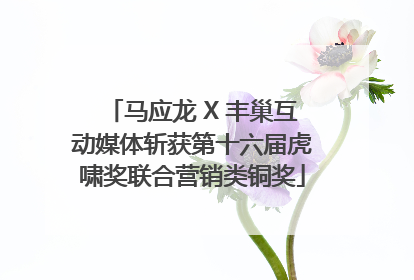 马应龙 X 丰巢互动媒体斩获第十六届虎啸奖联合营销类铜奖