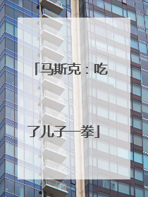 马斯克：吃了儿子一拳
