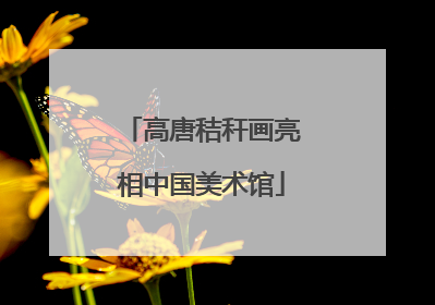 高唐秸秆画亮相中国美术馆