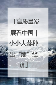 高质量发展看中国｜小小大蒜种出“辣”经济