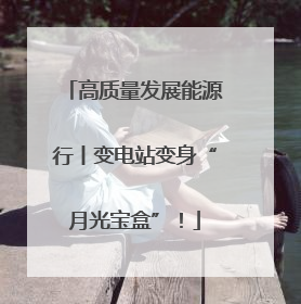 高质量发展能源行丨变电站变身“月光宝盒”！