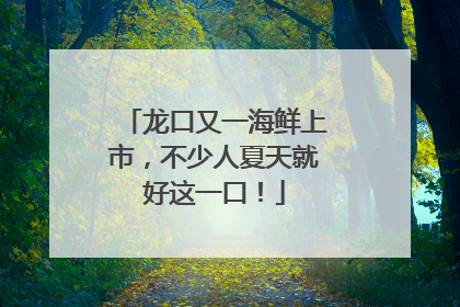 龙口又一海鲜上市，不少人夏天就好这一口！