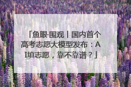 鱼眼·围观丨国内首个高考志愿大模型发布：AI填志愿，靠不靠谱？