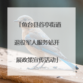鱼台县谷亭街道退役军人服务站开展政策宣传活动