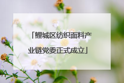 鲤城区纺织面料产业链党委正式成立