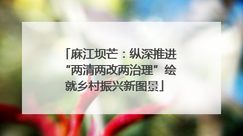 麻江坝芒：纵深推进“两清两改两治理”绘就乡村振兴新图景