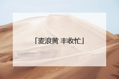麦浪黄 丰收忙