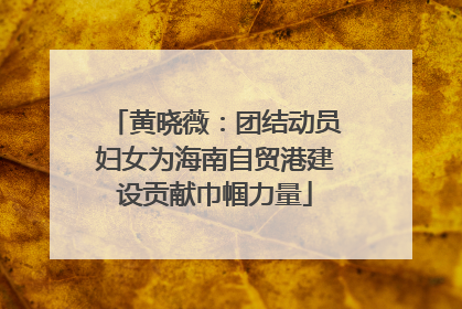 黄晓薇：团结动员妇女为海南自贸港建设贡献巾帼力量
