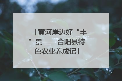 黄河岸边好“丰”景——合阳县特色农业养成记