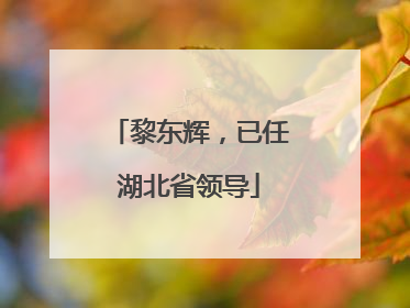 黎东辉，已任湖北省领导