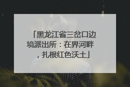 黑龙江省三岔口边境派出所：在界河畔，扎根红色沃土
