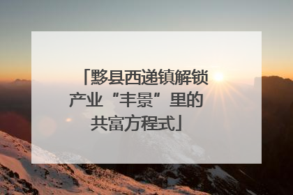 黟县西递镇解锁产业“丰景”里的共富方程式
