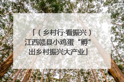 （乡村行·看振兴）江西赣县小鸡蛋“孵”出乡村振兴大产业