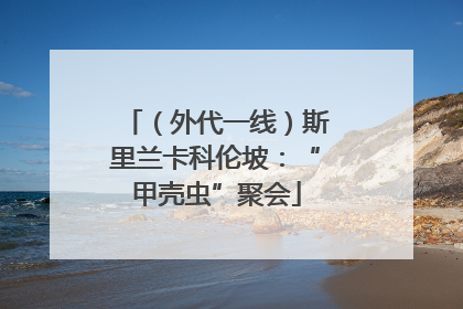 （外代一线）斯里兰卡科伦坡：“甲壳虫”聚会