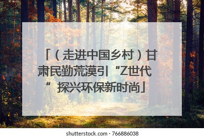 （走进中国乡村）甘肃民勤荒漠引“Z世代”探兴环保新时尚