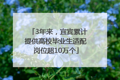 3年来，宜宾累计提供高校毕业生适配岗位超10万个